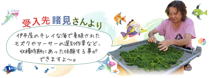 體験中の子どもたち
