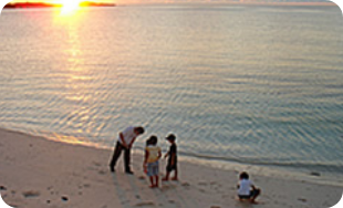 米崎海岸